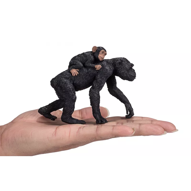 Chimpancé con bebé