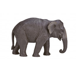 Elefante asiático