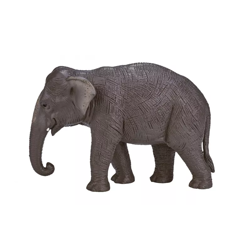 Elefante asiático