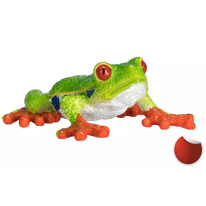 Rana arborícola de ojos rojos