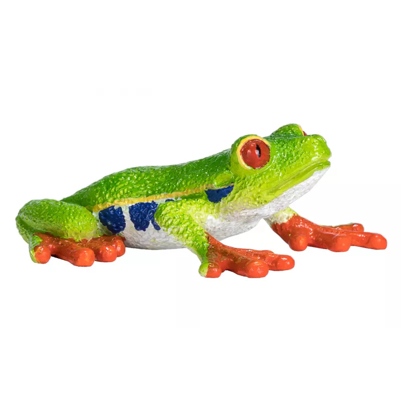 Rana arborícola de ojos rojos