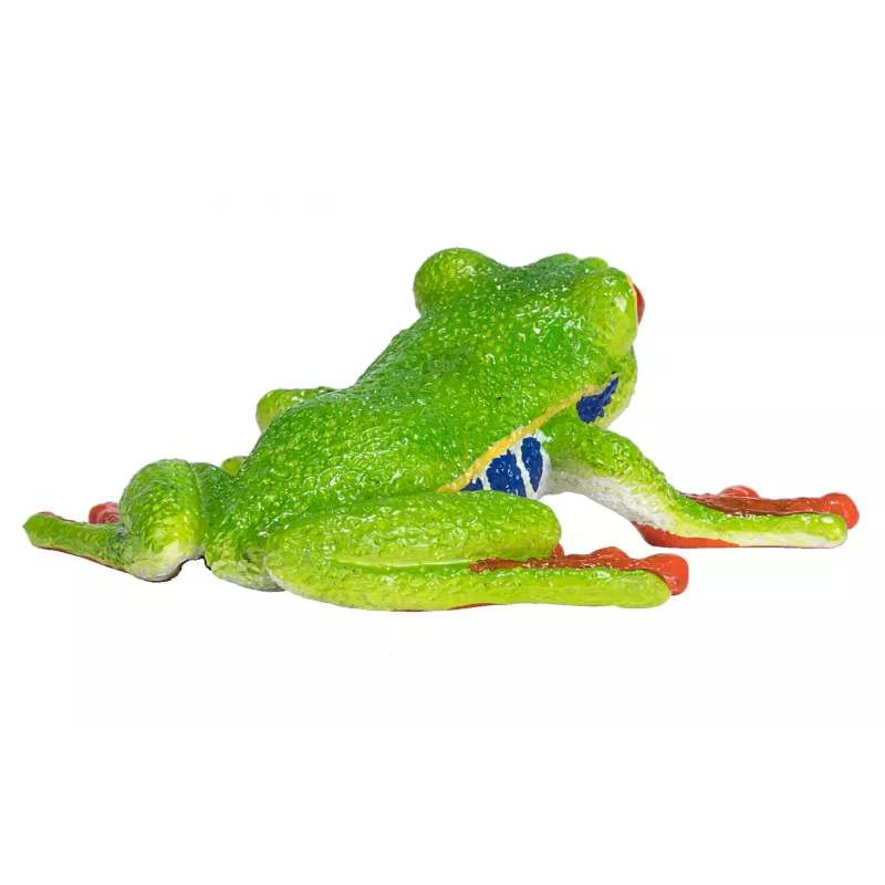 Rana arborícola de ojos rojos