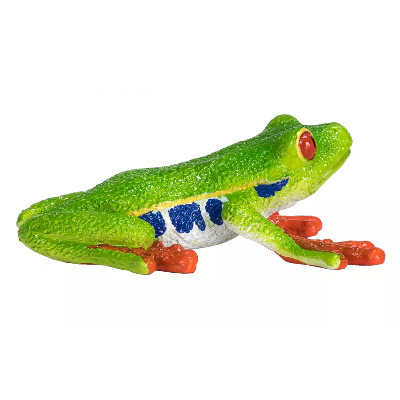 Rana arborícola de ojos rojos