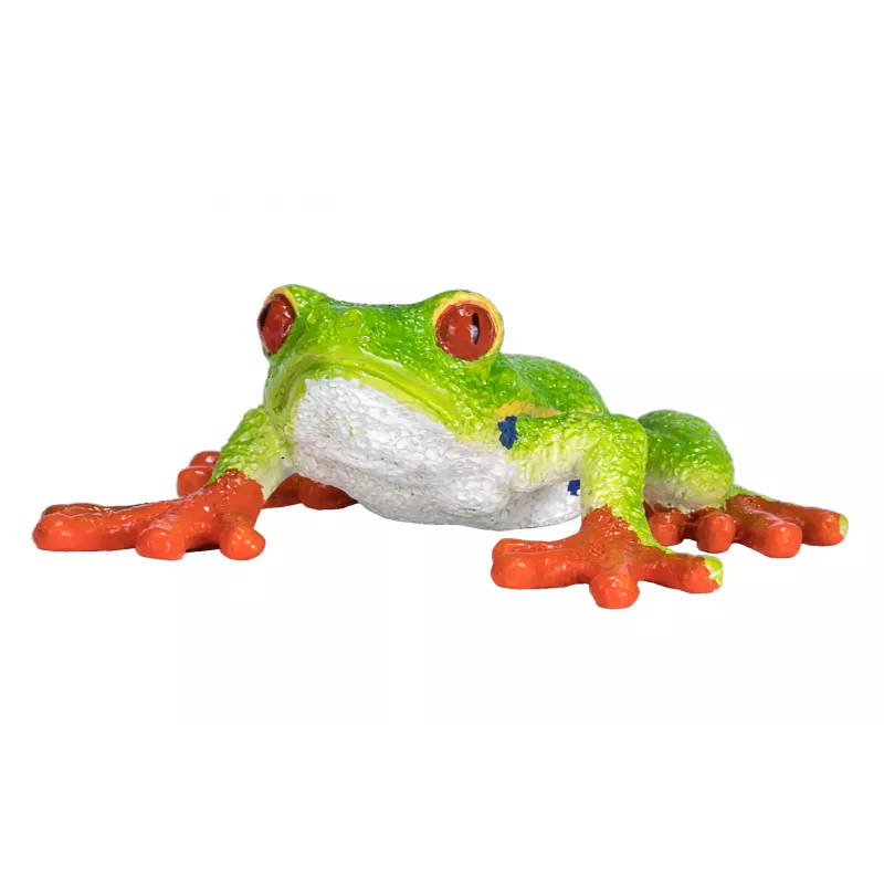 Rana arborícola de ojos rojos