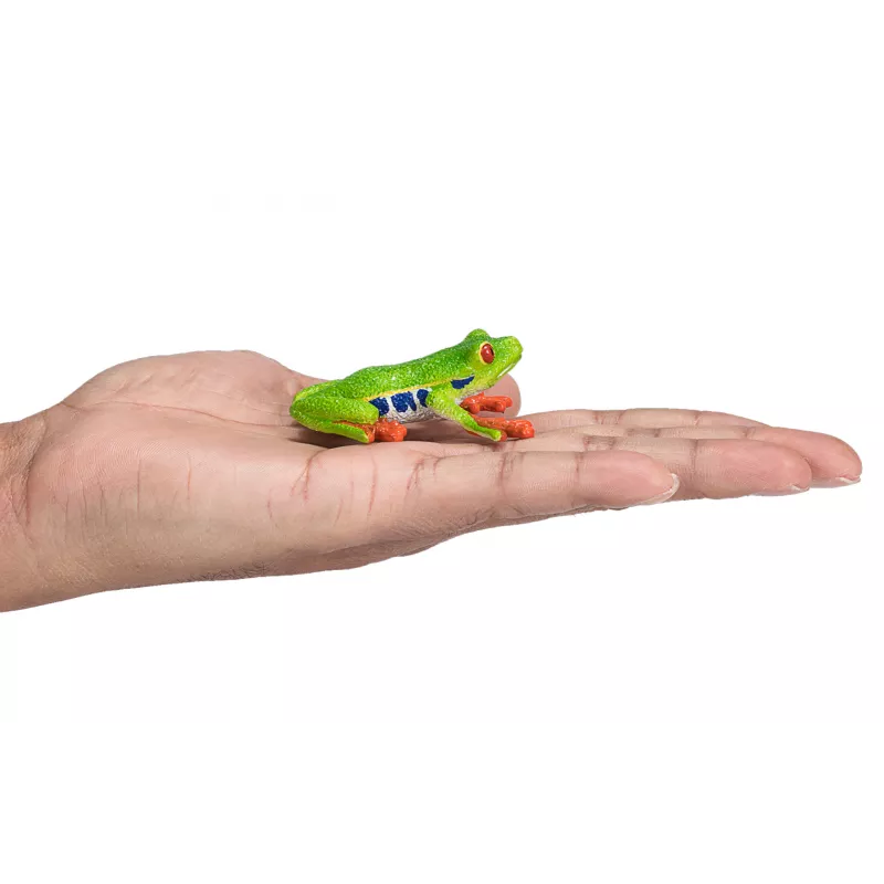 Rana arborícola de ojos rojos