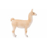 Llama