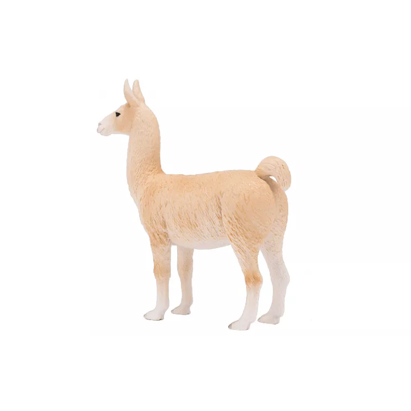 Llama