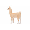 Llama