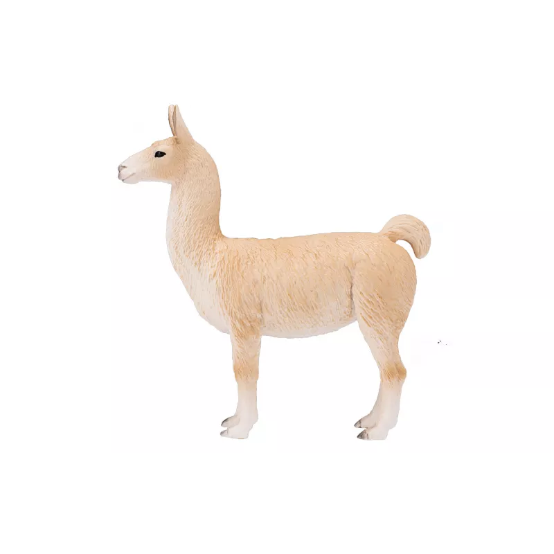 Llama