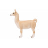 Llama