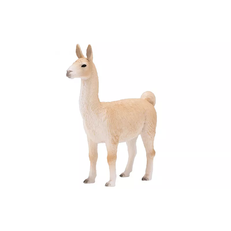 Llama