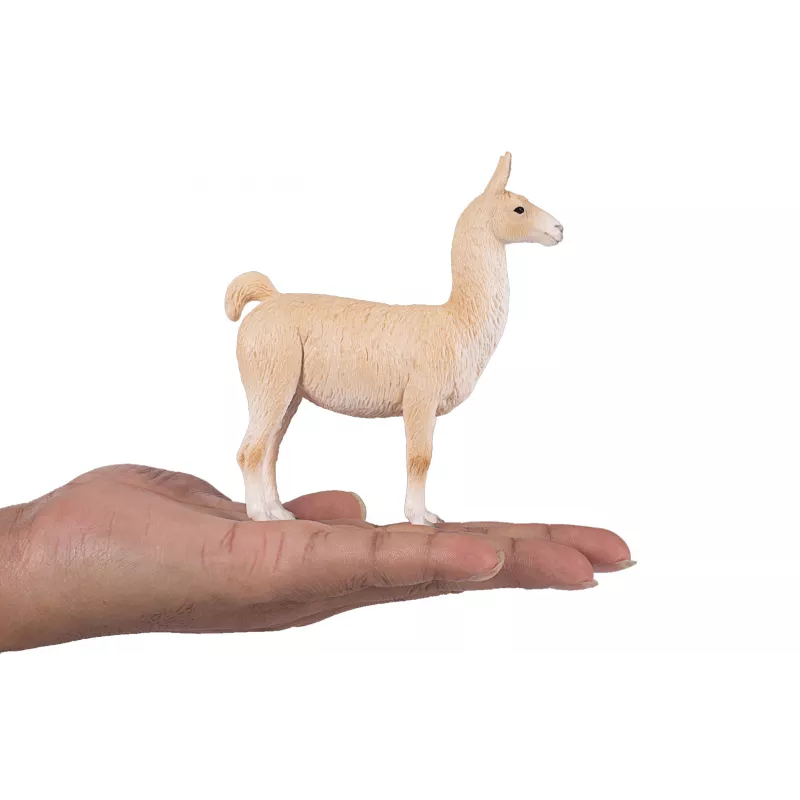 Llama