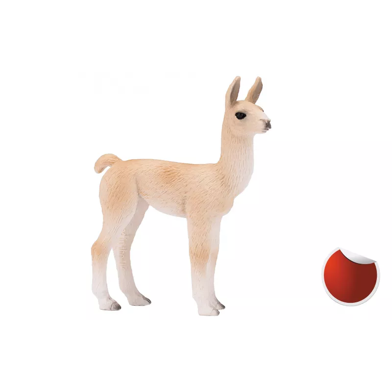 Baby Llama