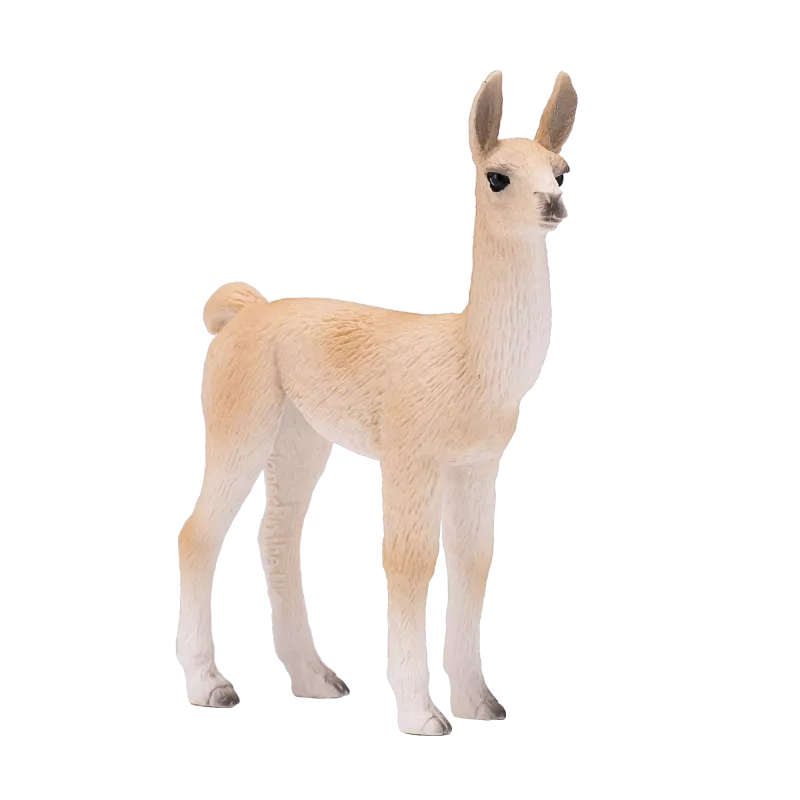 Baby Llama