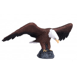 Águila calva americana