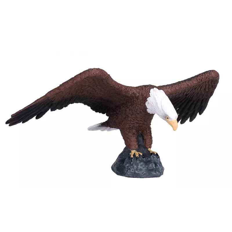 Águila calva americana