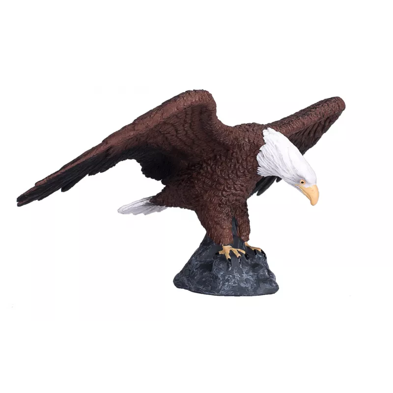 Águila calva americana