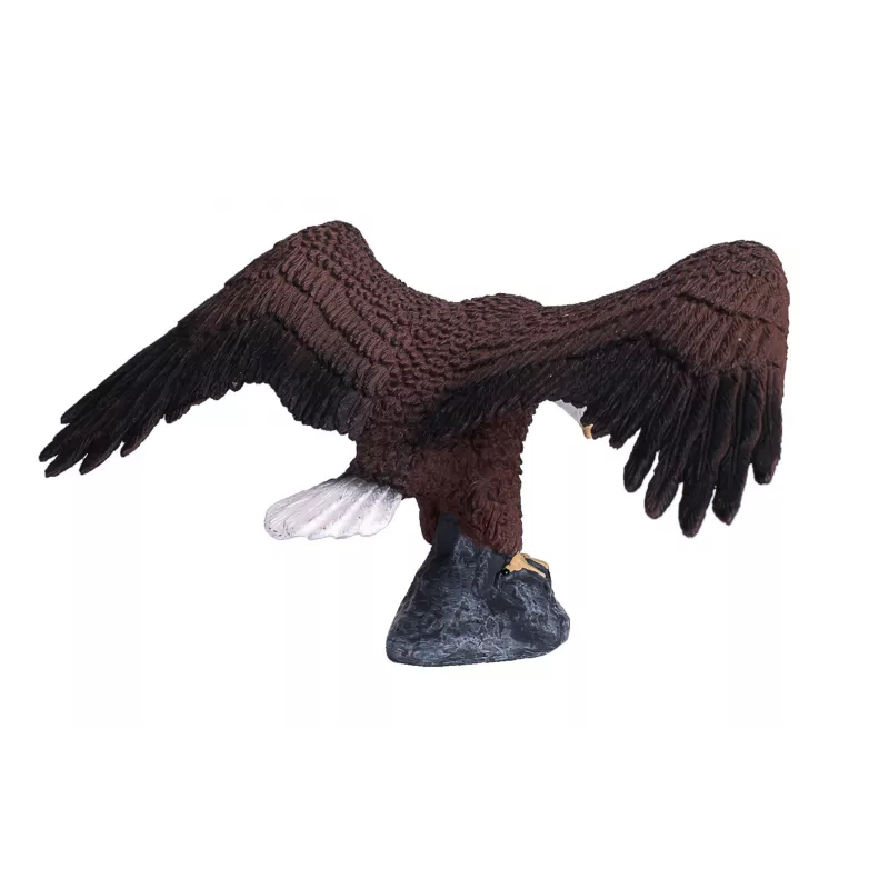 Águila calva americana