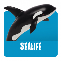 Sealife